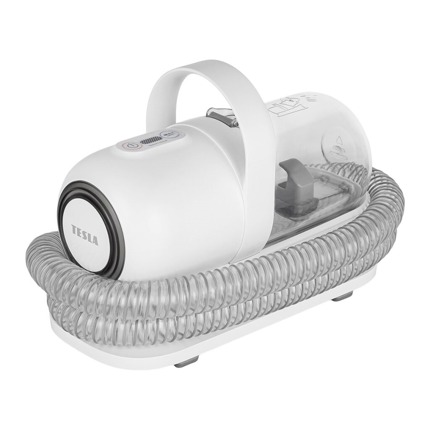 TESLA Electronics PetCare - Zestaw do pielęgnacji sierści zwierząt 300W/230V