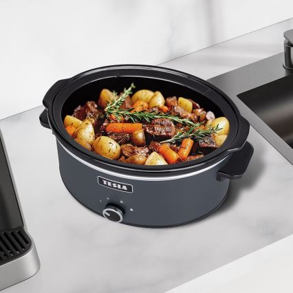 TESLA Electronics SlowCook - Wolnowar 6,5 l 270W/230V