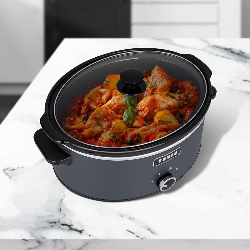 TESLA Electronics SlowCook - Wolnowar 6,5 l 270W/230V