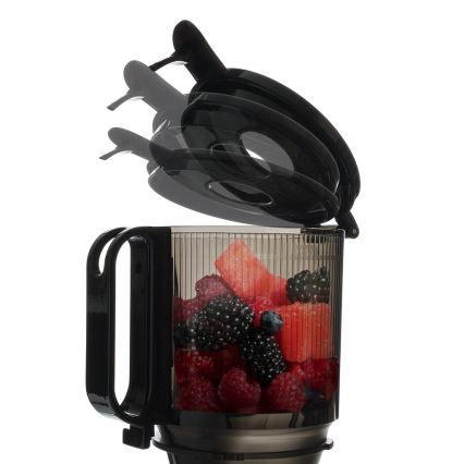TESLA Electronics SlowJuicer Deluxe - Sokowirówka ślimakowa wolnoobrotowa 250W/230V stal nierdzewna/czarny
