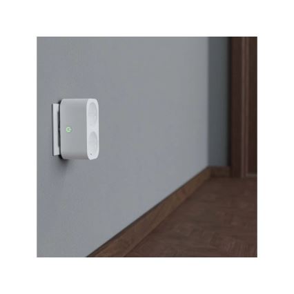 TESLA Smart - Smart rozgałęziacz 2x16A/230V Typ F Wi-Fi Tuya
