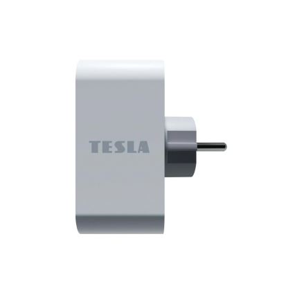 TESLA Smart - Smart rozgałęziacz 2x16A/230V Typ F Wi-Fi Tuya