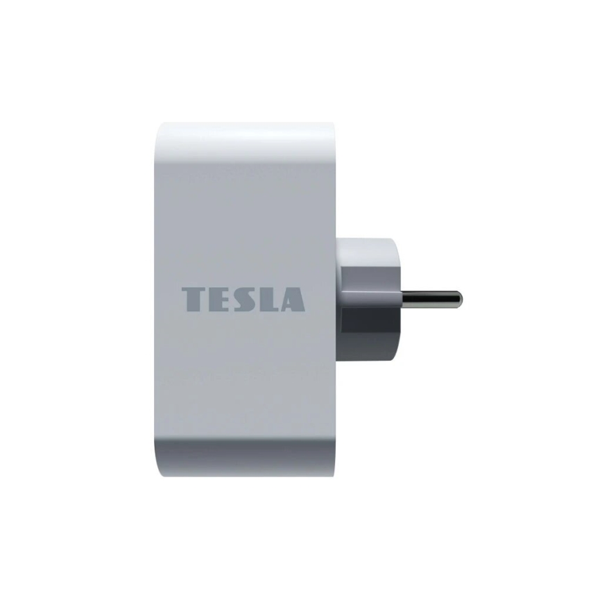 TESLA Smart - Smart rozgałęziacz 2x16A/230V Typ F Wi-Fi Tuya