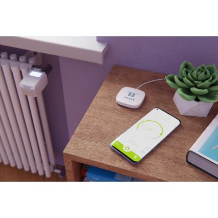 TESLA Smart - ZESTAW 3x inteligentna bezprzewodowa głowica termostatyczna 2xAA + inteligentna brama Hub Zigbee Wi-Fi