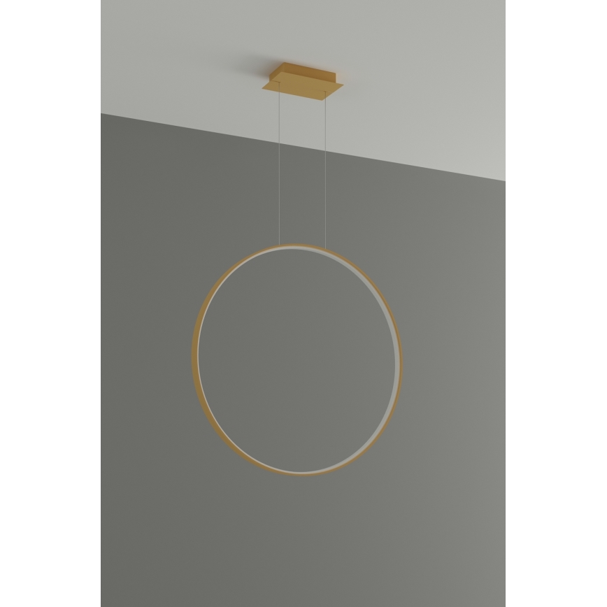 Thoro TH.175 - LED Żyrandol na lince RIO LED/50W/230V CRI 90 3000K śr. 78 cm złoty