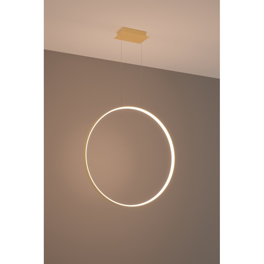 Thoro TH.175 - LED Żyrandol na lince RIO LED/50W/230V CRI 90 3000K śr. 78 cm złoty