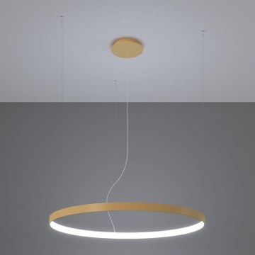 Thoro TH.181 - LED  Żyrandol na lince RIO LED /50W/230V CRI 95 4000K śr. 78 cm złoty