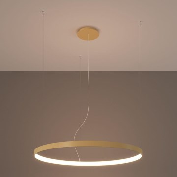 Thoro TH.216 - LED Żyrandol na lince RIO LED/30W/230V CRI 90 3000K śr. 55 cm złoty