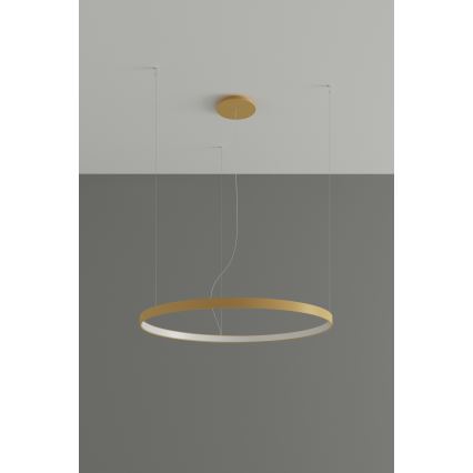 Thoro TH.216 - LED Żyrandol na lince RIO LED/30W/230V CRI 90 3000K śr. 55 cm złoty