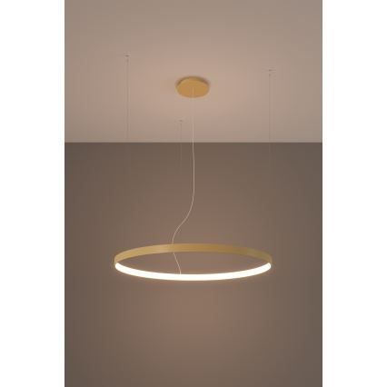 Thoro TH.216 - LED Żyrandol na lince RIO LED/30W/230V CRI 90 3000K śr. 55 cm złoty