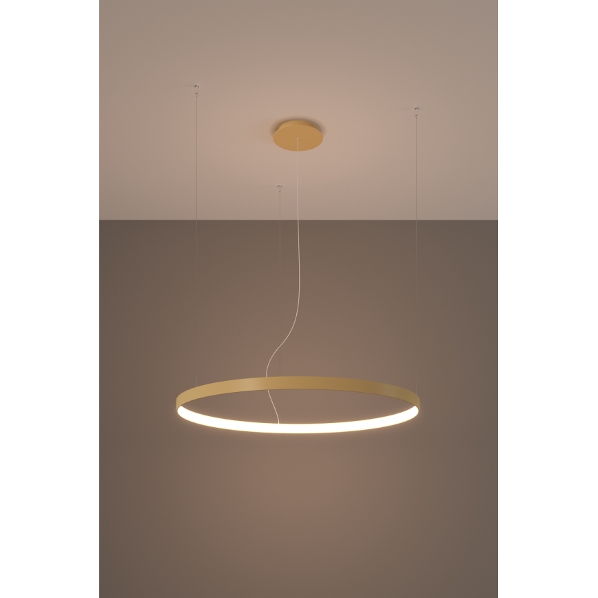 Thoro TH.216 - LED Żyrandol na lince RIO LED/30W/230V CRI 90 3000K śr. 55 cm złoty
