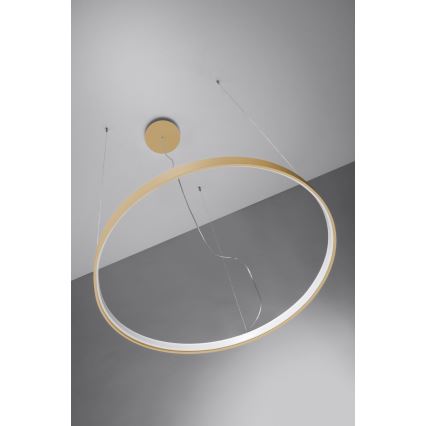 Thoro TH.216 - LED Żyrandol na lince RIO LED/30W/230V CRI 90 3000K śr. 55 cm złoty
