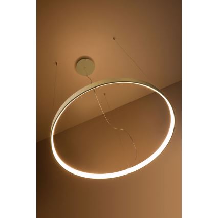 Thoro TH.216 - LED Żyrandol na lince RIO LED/30W/230V CRI 90 3000K śr. 55 cm złoty