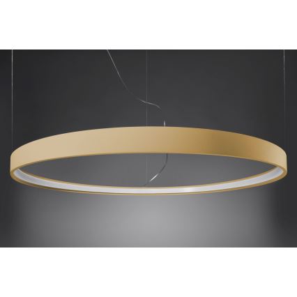 Thoro TH.216 - LED Żyrandol na lince RIO LED/30W/230V CRI90 3000K śr. 55 cm złoty