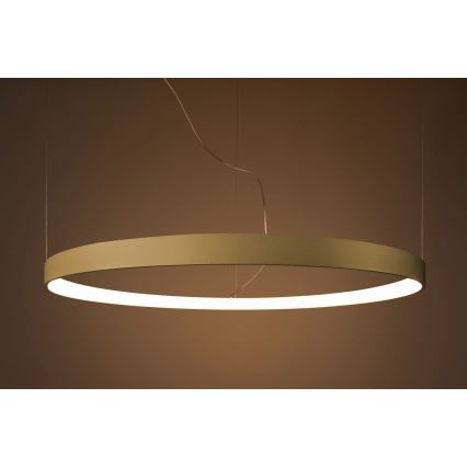 Thoro TH.216 - LED Żyrandol na lince RIO LED/30W/230V CRI 90 3000K śr. 55 cm złoty