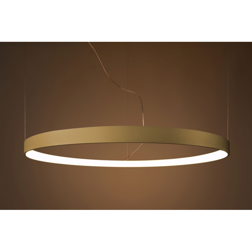 Thoro TH.216 - LED Żyrandol na lince RIO LED/30W/230V CRI 90 3000K śr. 55 cm złoty