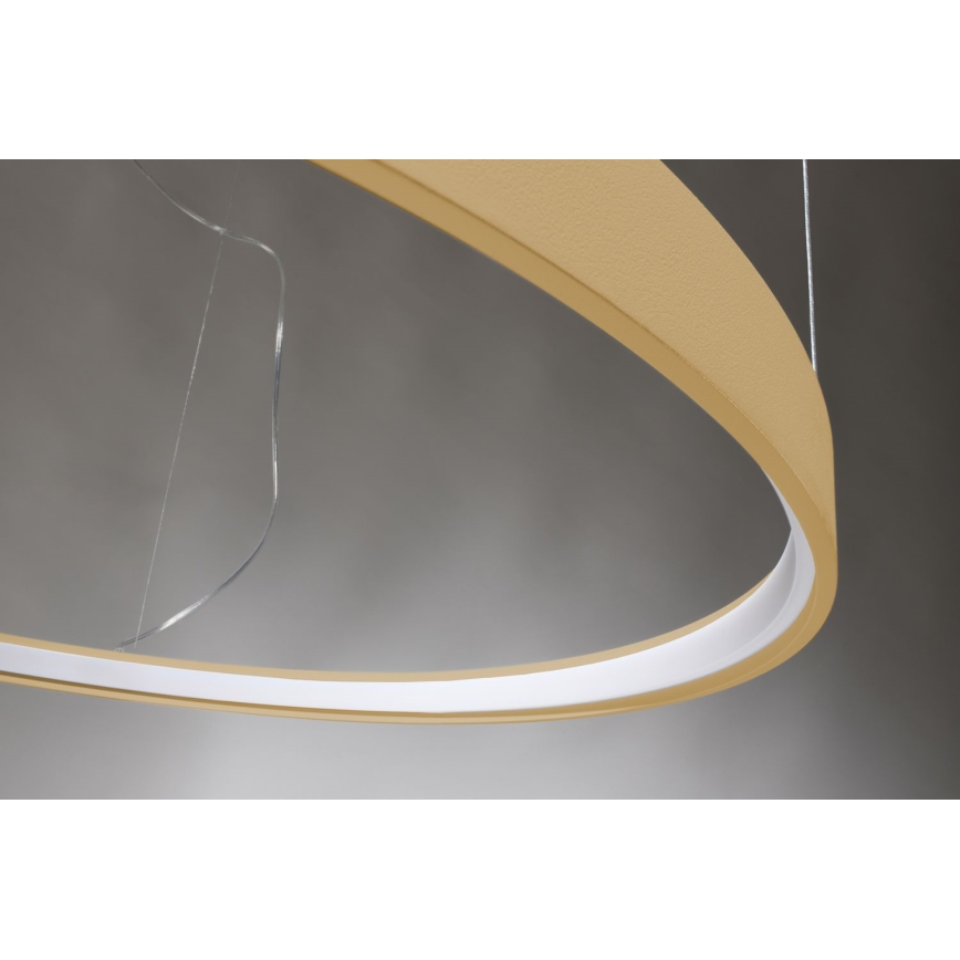 Thoro TH.216 - LED Żyrandol na lince RIO LED/30W/230V CRI 90 3000K śr. 55 cm złoty