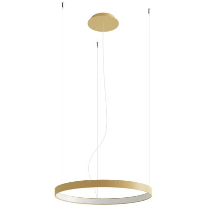Thoro TH.216 - LED Żyrandol na lince RIO LED/30W/230V CRI 90 3000K śr. 55 cm złoty