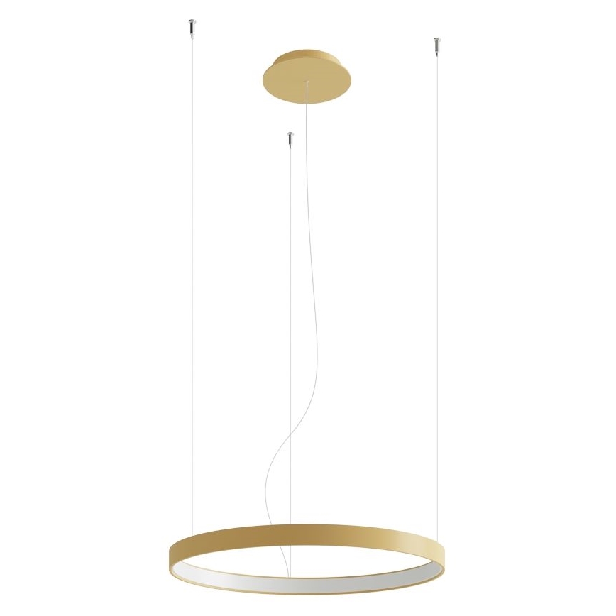 Thoro TH.216 - LED Żyrandol na lince RIO LED/30W/230V CRI 90 3000K śr. 55 cm złoty