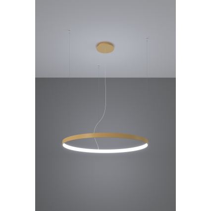 Thoro TH.217 - LED Żyrandol na lince RIO LED/30W/230V CRI 95 4000K śr. 55 cm złoty