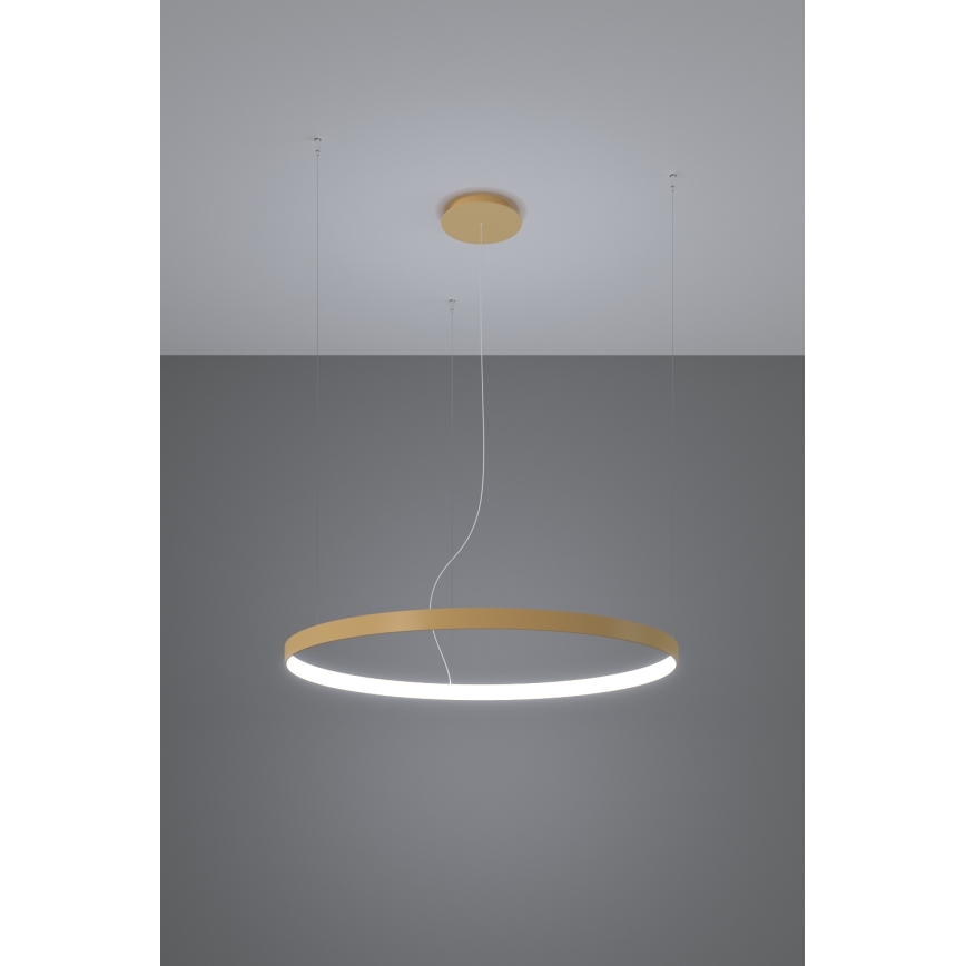 Thoro TH.217 - LED Żyrandol na lince RIO LED/30W/230V CRI 95 4000K śr. 55 cm złoty