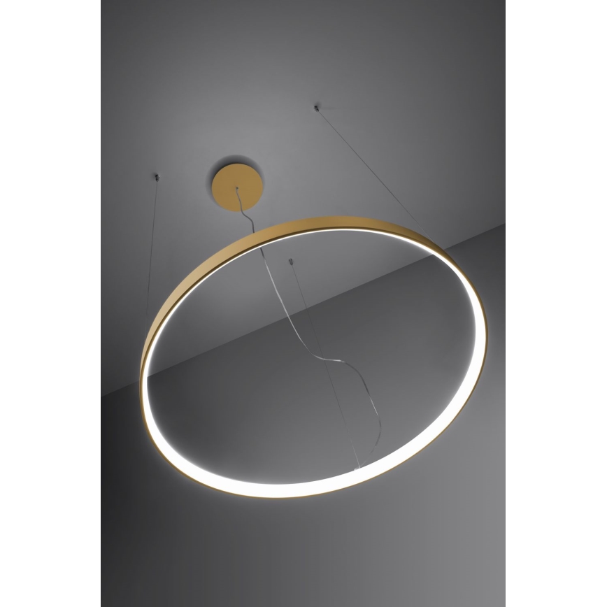 Thoro TH.217 - LED Żyrandol na lince RIO LED/30W/230V CRI 95 4000K śr. 55 cm złoty