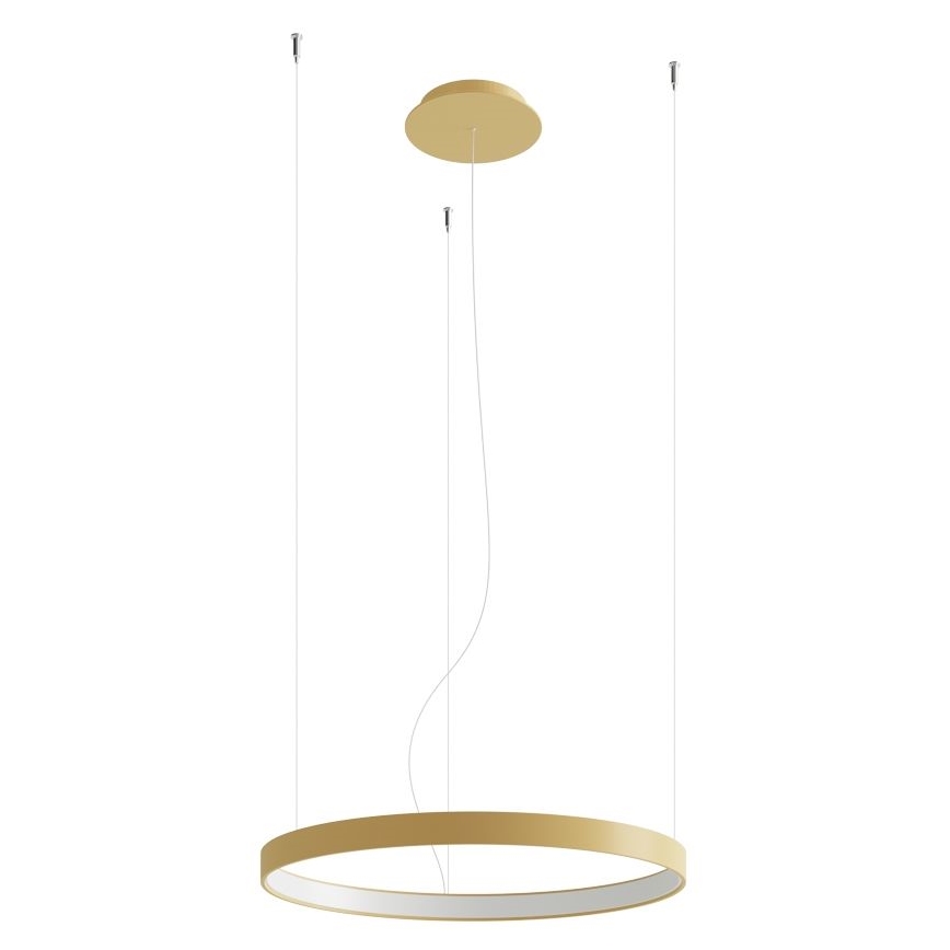 Thoro TH.217 - LED Żyrandol na lince RIO LED/30W/230V CRI 95 4000K śr. 55 cm złoty