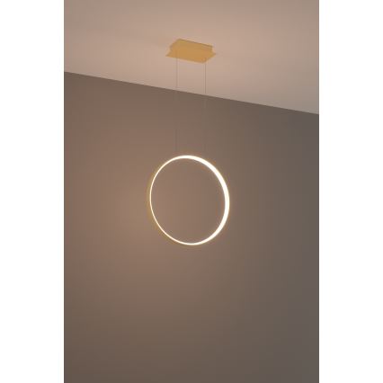 Thoro TH.220 - LED Żyrandol na lince RIO LED/30W/230V CRI 90 3000K śr. 55 cm złoty