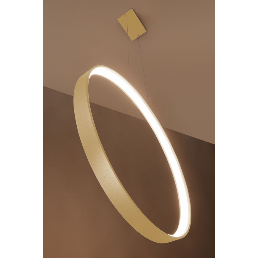 Thoro TH.220 - LED Żyrandol na lince RIO LED/30W/230V CRI 90 3000K śr. 55 cm złoty