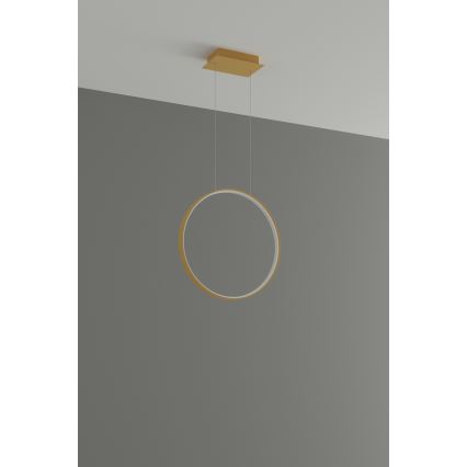 Thoro TH.221 - LED Żyrandol na lince RIO LED/30W/230V CRI 95 4000K śr. 55 cm złoty