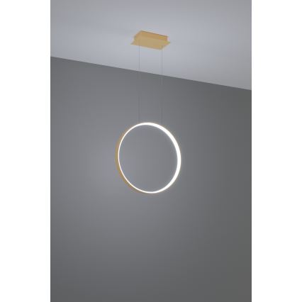 Thoro TH.221 - LED Żyrandol na lince RIO LED/30W/230V CRI 95 4000K śr. 55 cm złoty