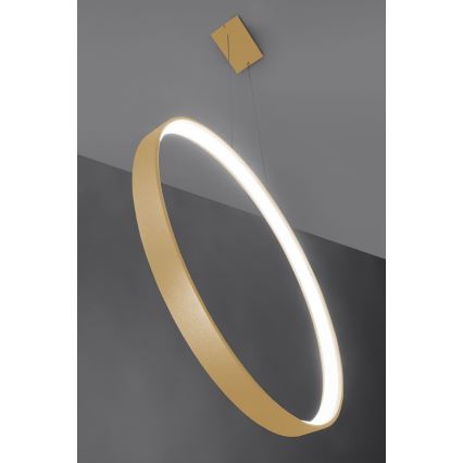 Thoro TH.221 - LED Żyrandol na lince RIO LED/30W/230V CRI 95 4000K śr. 55 cm złoty
