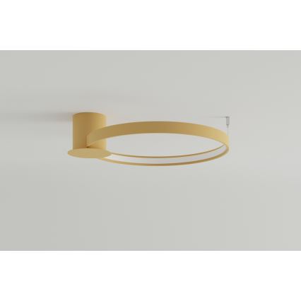 Thoro TH.222 - LED Plafon RIO LED/30W/230V CRI 90 3000K śr. 55 cm złoty