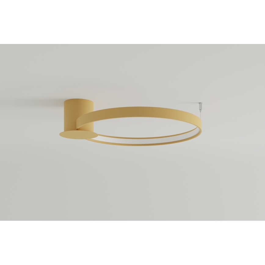 Thoro TH.222 - LED Plafon RIO LED/30W/230V CRI 90 3000K śr. 55 cm złoty