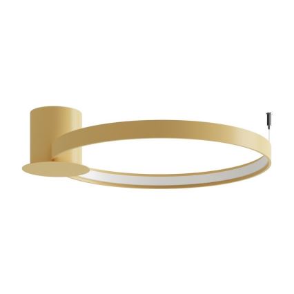 Thoro TH.222 - LED Plafon RIO LED/30W/230V CRI 90 3000K śr. 55 cm złoty