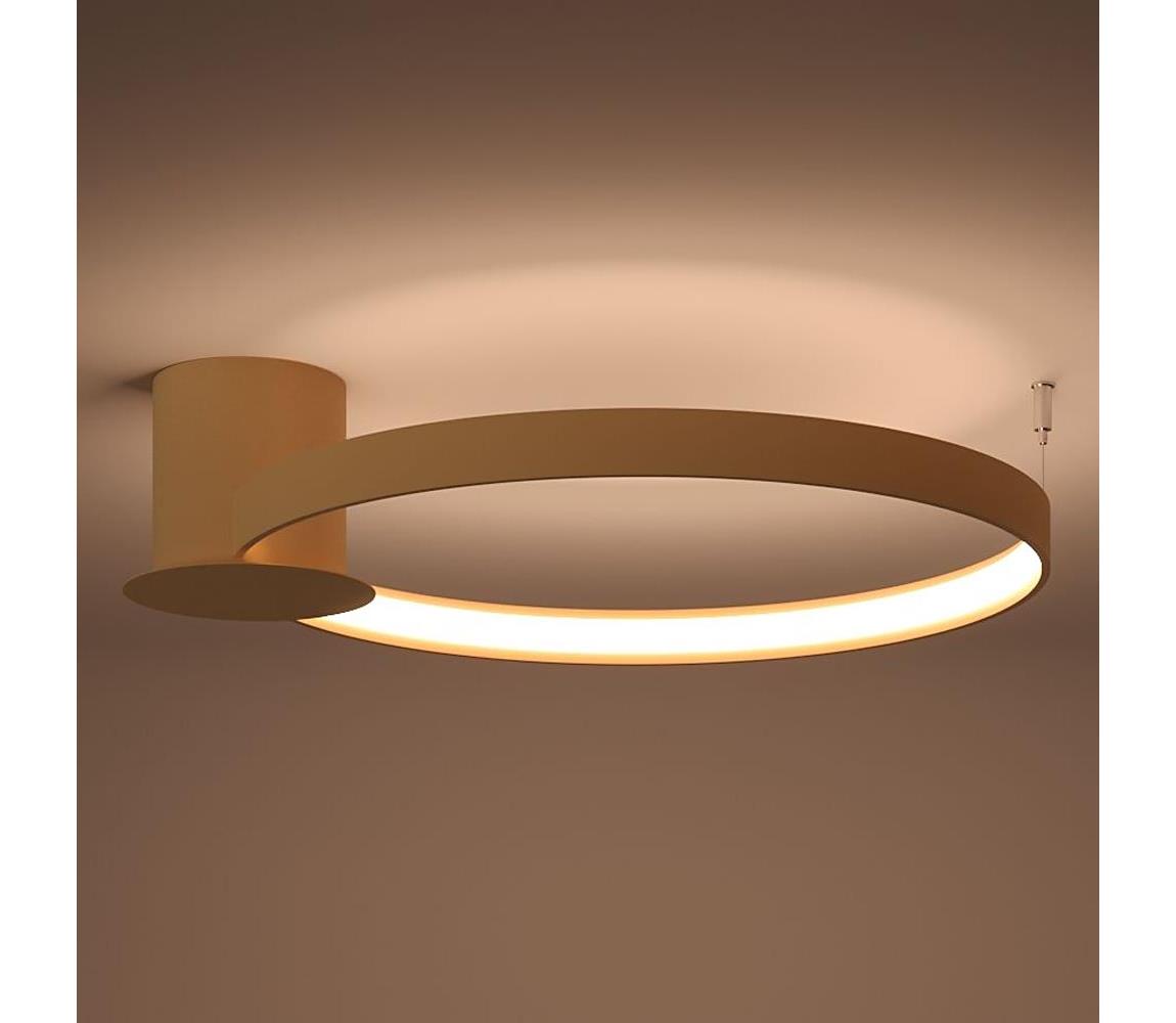 Thoro TH.222 - LED Plafon RIO LED/30W/230V CRI90 3000K śr. 55 cm złoty