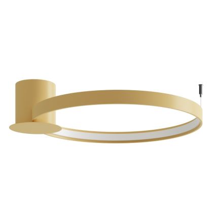 Thoro TH.223 - Lampa sufitowa LED RIO/30W/230V CRI 98 4000K śr. 55 cm złota