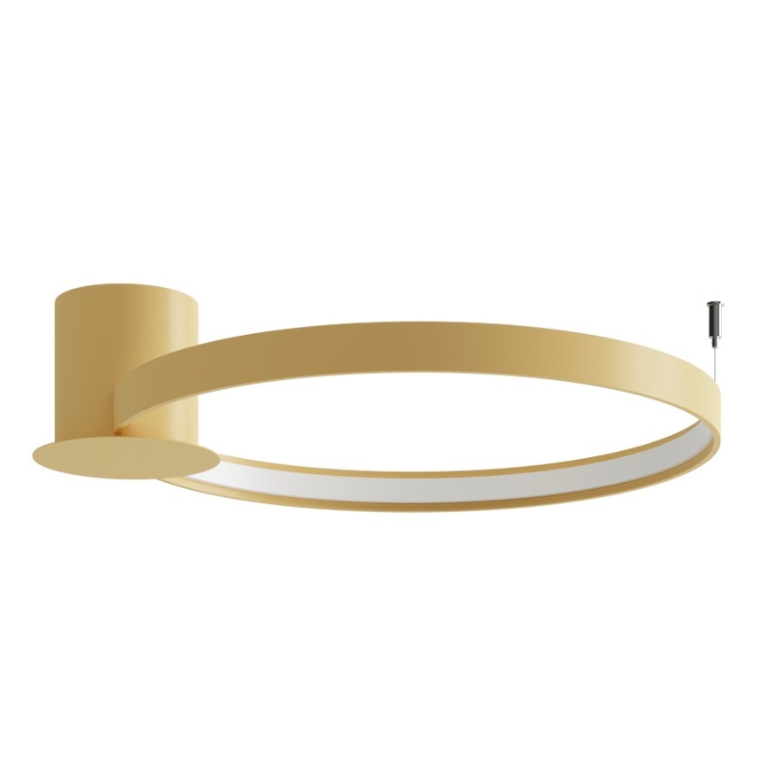 Thoro TH.223 - Lampa sufitowa LED RIO/30W/230V CRI 98 4000K śr. 55 cm złota