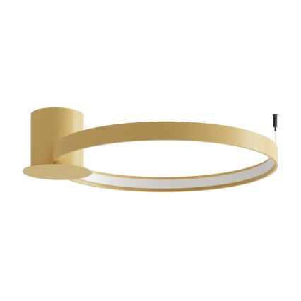 Thoro TH.223 - LED Plafon RIO LED/30W/230V CRI 95 4000K śr. 55 cm złoty