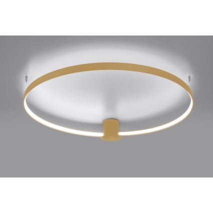 Thoro TH.223 - LED Plafon RIO LED/30W/230V CRI 95 4000K śr. 55 cm złoty
