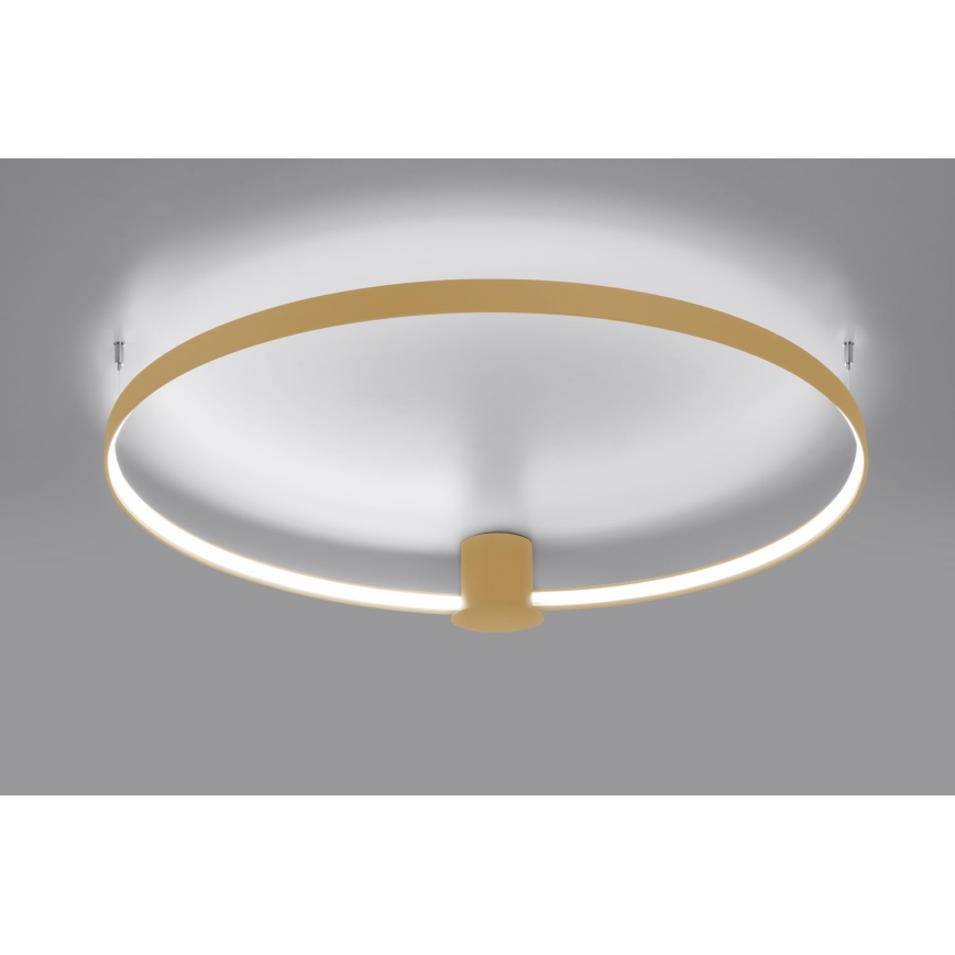 Thoro TH.223 - LED Plafon RIO LED/30W/230V CRI 95 4000K śr. 55 cm złoty