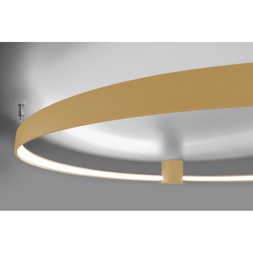 Thoro TH.223 - LED Plafon RIO LED/30W/230V CRI 95 4000K śr. 55 cm złoty