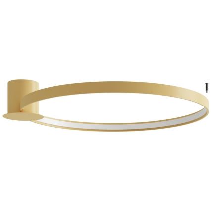 Thoro TH.224 - LED Plafon RIO LED/50W/230V CRI 90 3000K śr. 78 cm złoty
