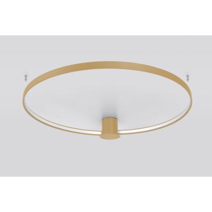 Thoro TH.224 - LED Plafon RIO LED/50W/230V CRI 90 3000K śr. 78 cm złoty