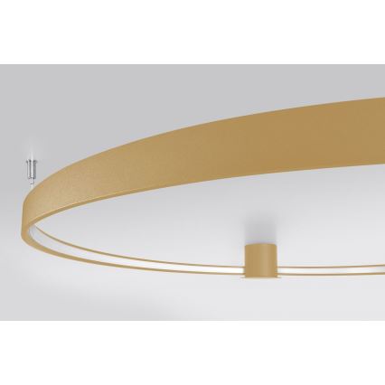 Thoro TH.224 - LED Plafon RIO LED/50W/230V CRI 90 3000K śr. 78 cm złoty