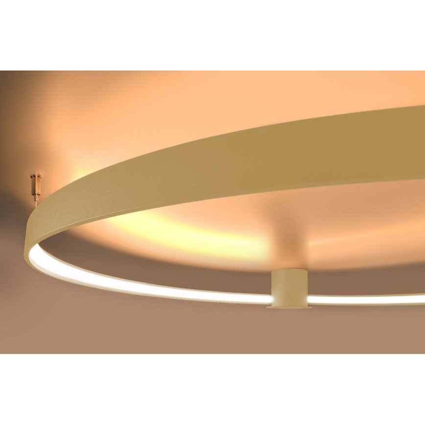Thoro TH.224 - LED Plafon RIO LED/50W/230V CRI 90 3000K śr. 78 cm złoty