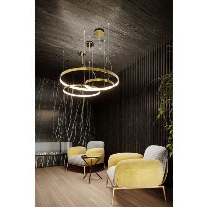 Thoro TH.246 - LED Żyrandol na lince RIO LED/50W/230V CRI 90 3000K śr. 78 cm złoty