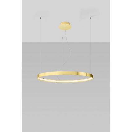 Thoro TH.246 - LED Żyrandol na lince RIO LED/50W/230V CRI 90 3000K śr. 78 cm złoty