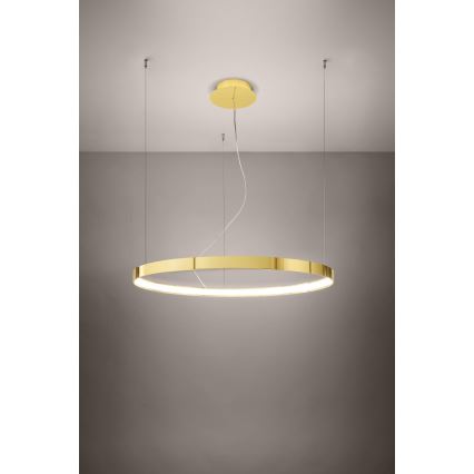 Thoro TH.246 - LED Żyrandol na lince RIO LED/50W/230V CRI 90 3000K śr. 78 cm złoty