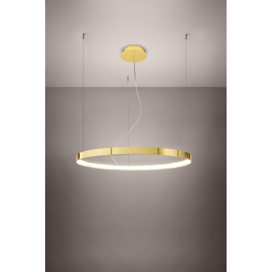 Thoro TH.246 - LED Żyrandol na lince RIO LED/50W/230V CRI 90 3000K śr. 78 cm złoty